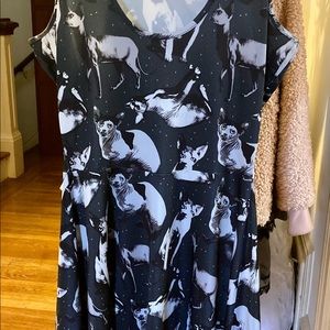 Incredible creepy cute hairless cat dress